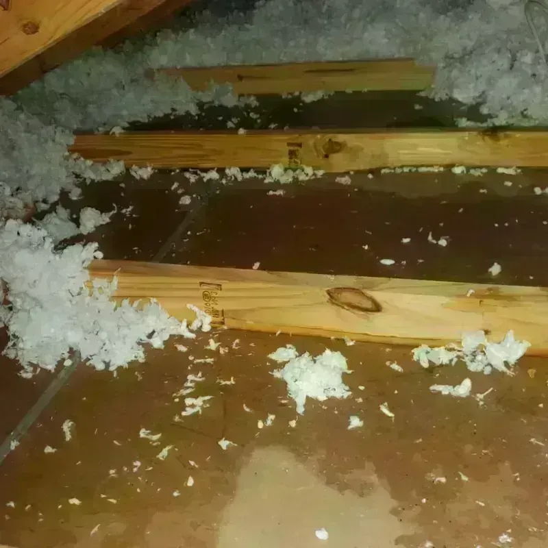 Attic Water Damage in Los Alamos County, NM