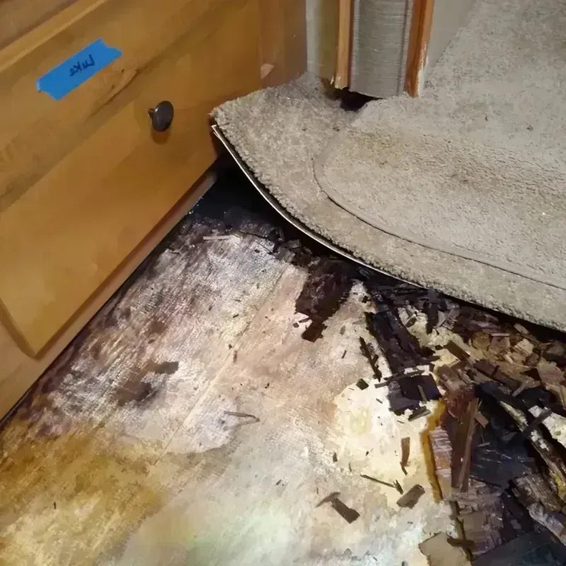 Best Wood Floor Water Damage Service in Los Alamos County, NM